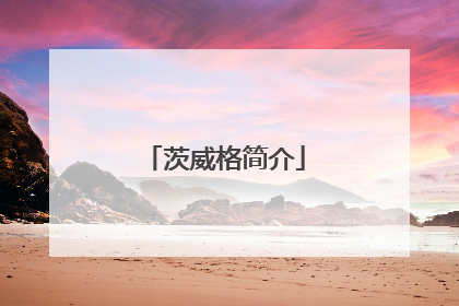 茨威格简介