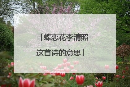 蝶恋花李清照这首诗的意思