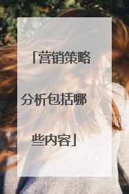 营销策略分析包括哪些内容