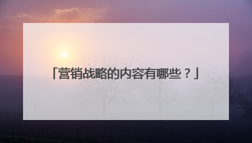 营销战略的内容有哪些？