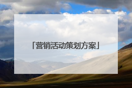 营销活动策划方案