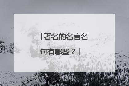 著名的名言名句有哪些？