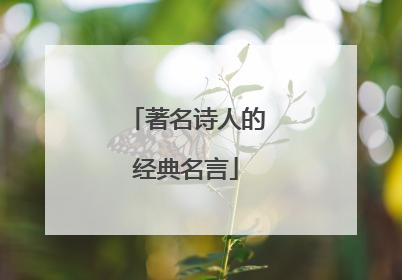 著名诗人的经典名言