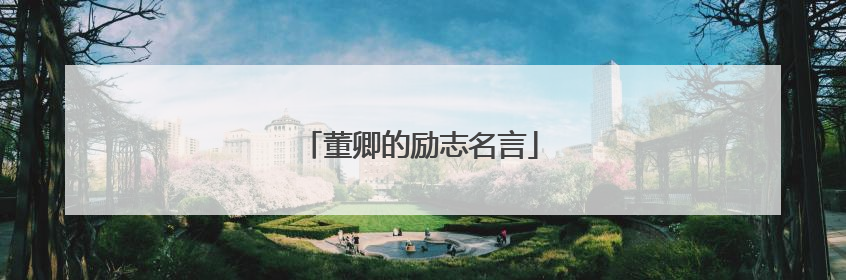 董卿的励志名言