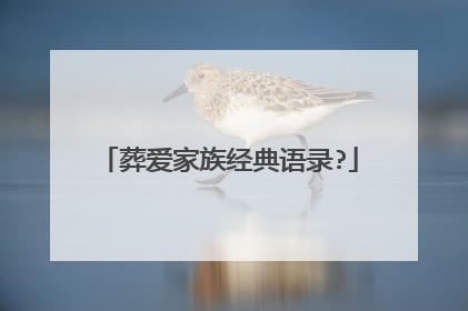 葬爱家族经典语录?