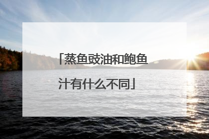 蒸鱼豉油和鲍鱼汁有什么不同