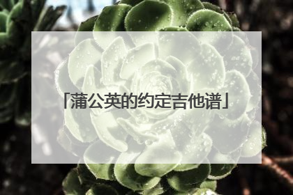 蒲公英的约定吉他谱
