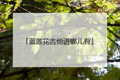 蓝莲花吉他谱哪儿有