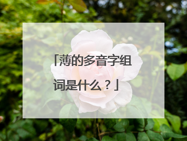 薄的多音字组词是什么?