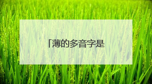 薄的多音字是什么词语?