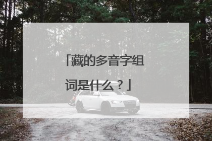 藏的多音字组词是什么?