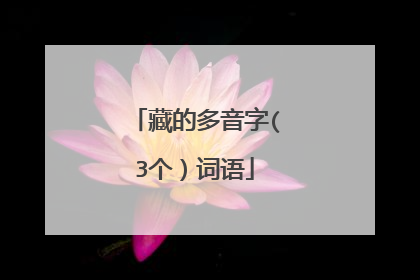 藏的多音字(3个)词语