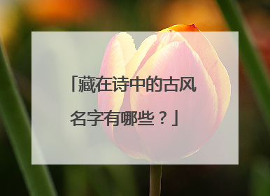 藏在诗中的古风名字有哪些？