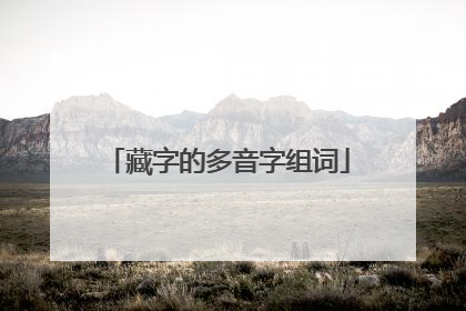 藏字的多音字组词