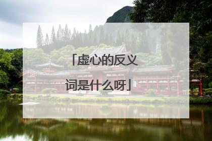 虚心的反义词是什么呀