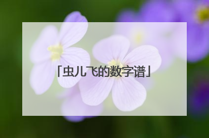 虫儿飞的数字谱