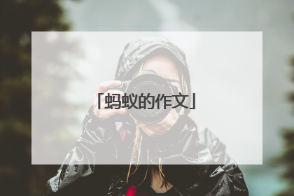蚂蚁的作文