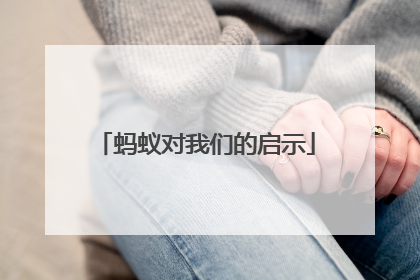 蚂蚁对我们的启示