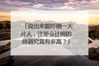 说出来能吓倒一大片人，注册会计师的待遇究竟有多高？