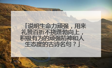 说明生命力顽强，用来礼赞百折不挠蓬勃向上，积极有为的顽强精神和人生态度的古诗名句？