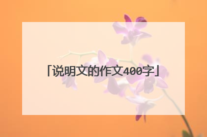 说明文的作文400字