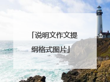 说明文作文提纲格式图片
