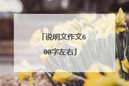 说明文作文600字左右