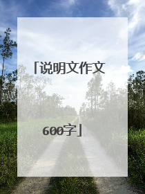 说明文作文600字