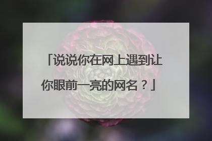 说说你在网上遇到让你眼前一亮的网名？