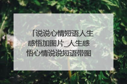 说说心情短语人生感悟加图片_人生感悟心情说说短语带图片说说(2)