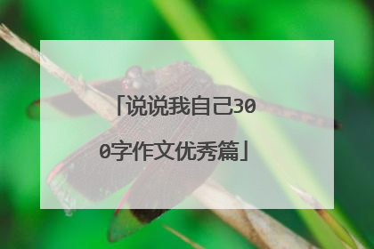 说说我自己300字作文优秀篇