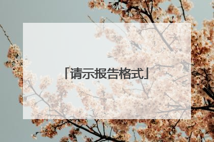 请示报告格式