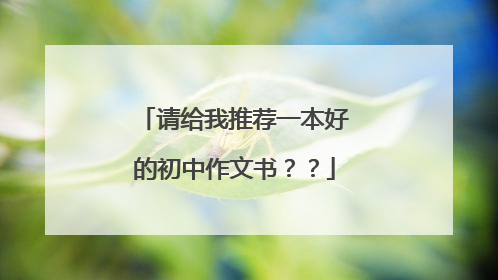 请给我推荐一本好的初中作文书？？