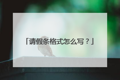 请假条格式怎么写?