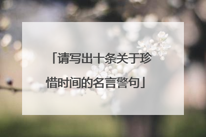 请写出十条关于珍惜时间的名言警句
