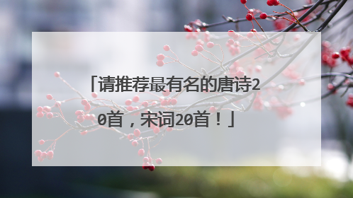 请推荐最有名的唐诗20首，宋词20首！