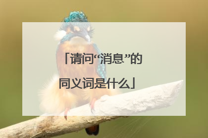 请问“消息”的同义词是什么