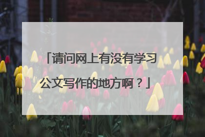 请问网上有没有学习公文写作的地方啊？