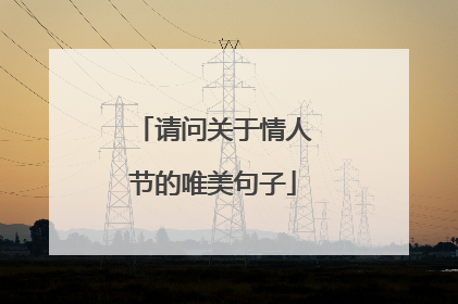 请问关于情人节的唯美句子
