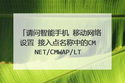请问智能手机→移动网络设置→接入点名称中的CMNET/CMWAP/LTE分别代表什么?