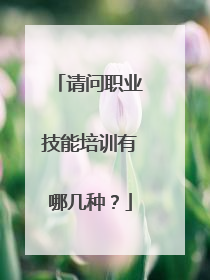 请问职业技能培训有哪几种？