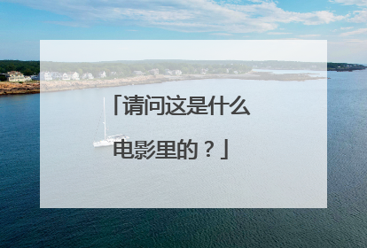 请问这是什么电影里的?