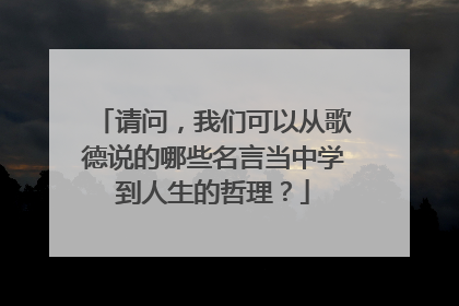 请问，我们可以从歌德说的哪些名言当中学到人生的哲理？