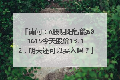 请问：A股明阳智能601615今天股价13.12，明天还可以买入吗？