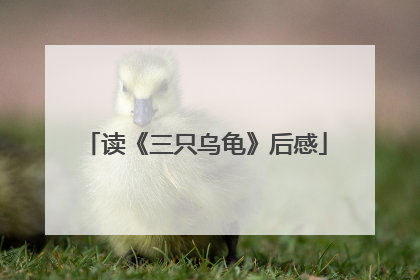 读《三只乌龟》后感