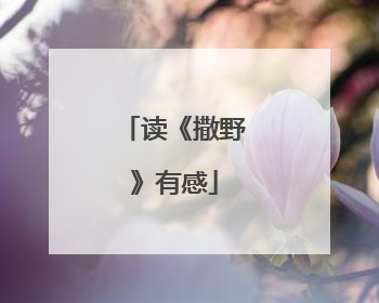 读《撒野》有感