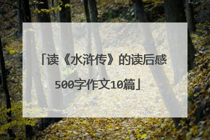 读《水浒传》的读后感500字作文10篇