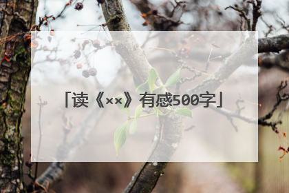 读《××》有感500字