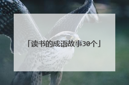 读书的成语故事30个