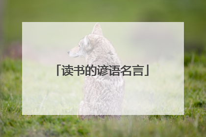 读书的谚语名言